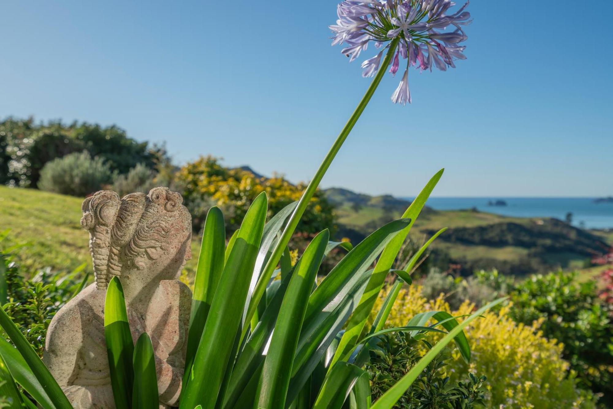 Bayview Valley Lodge Bed & Breakfast Whitianga Exterior foto